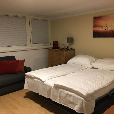 Ferienwohnung Cosy Flat In The Quiet Area With Own Garden, Free Parking And Direct Public Transport Link To The Centre Wien Exterior foto